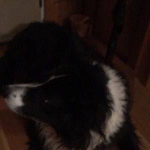 Meet your Posher, Beverly